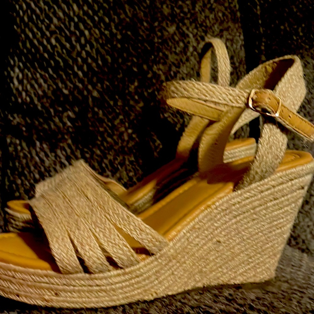 Tan pumps that has never been worn so basically they are brand new !